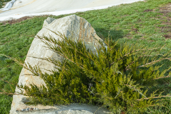 Kő szökőkút és kert szikla